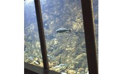 Cowex - Environmentally Safe Technics Aquarium