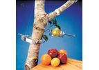 Concord - Model DEX - Dendrometers for Fruit and Stem Growth