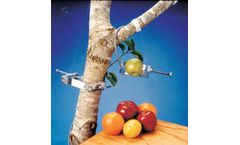 Concord - Model DEX - Dendrometers for Fruit and Stem Growth