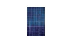 DSEPL - Model DS 300 - Polycrystalline Solar Modules