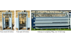 Full Cattle Handling Systems