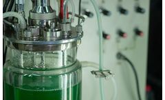 Alcalase - Proteases for Biocatalysis