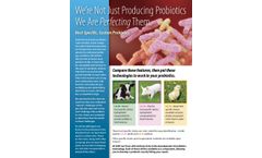Probiotics - Flyer