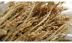 EBM Manufacturing Aspirator - Barley - Video