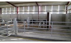 Calf Dividing Gates - Video