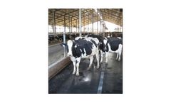 Animat - Interlock Rubber Flooring