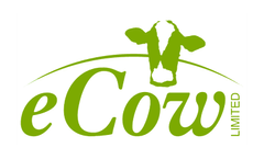 Prevention and Treatment Services