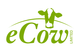 eCow Ltd.  