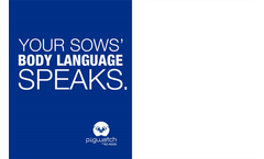 PigWatch - Heat Status Monitoring - Brochure