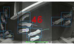 smaRt Counting - Automated Pig-Counting System - Video