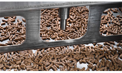Wet or Dry Pig Feeder