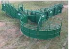 Morand - Model 2 - Cattle System