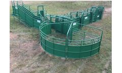 Morand - Model 2 - Cattle System