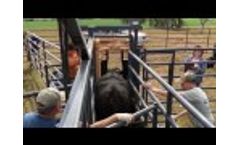 Wrangler Portable Corral with Headgate Attachment Video