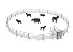 Moly - All-Purpose Corral