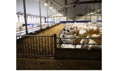 Plastic Panels for Animal Housing - Goats and Sheep