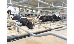 Cowhouse - Optimal Barn Equipment