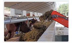 Feedwall - Feeding System