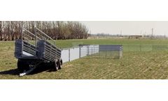 Stroberg - Sheep Corral