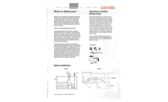 Red Lion - Heavy-Duty Cast Iron Effluent Pump  Brochure