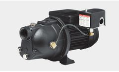 Red Lion - Shallow Well Jet Pump