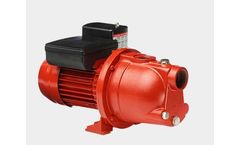 Red Lion - Model SWJ Series - Cast Iron Shallow Well Jet Pumps