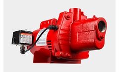 Red Lion - Model RJS PREM Series - Premium Cast Iron Shallow Well Jet Pump