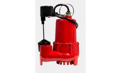 Red Lion - Cast Iron Sump Pumps