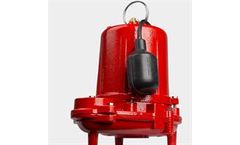 Red Lion - Heavy-Duty Cast Iron Effluent Pump