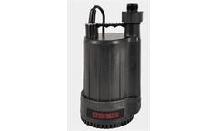 Red Lion - Model RL-MP25A - Automatic Utility Pump
