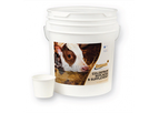 Genesis - Model Multi 13.2LB - Colostrum Replacer & Supplement