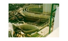 Large High Speed Cattle Slaughter Plant