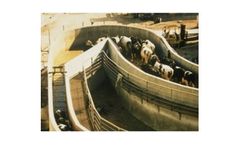 Half Circle Concrete Crowd Pen