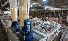Jyga - Model GESTAL 3G - Feeding System for Gestating Sows
