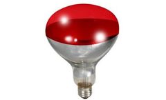 Miller - Model 170024 - 250 Watt Red Bulb for Brooder Lamp