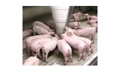 RONDOMAT - Model 3S  - Nursery Feeder