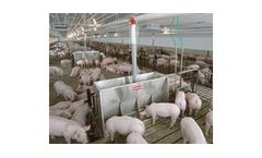 Chore-Time - Dry Pig Feeding Systems