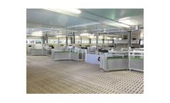 Lactating Sow Electronic Sow Feeding System