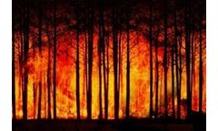 For many of us, 2020 was the year of COVID-19. But what did it mean for climate change?