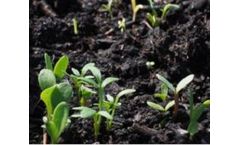 Healthy soils are paramount in the fight against climate change