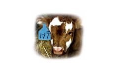 Nifty - Ritchey Ear Tags