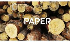 Spaper 2025  - Video