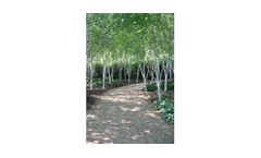 Landscape Architecture