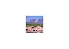 ICOMM - Solar Water Pumping Systems