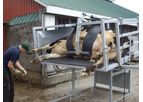 Berkelmans Welding - Heavy Duty Hoof Trimming Tables