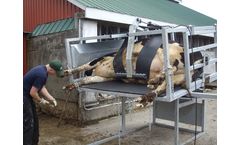 Berkelmans Welding - Heavy Duty Hoof Trimming Tables