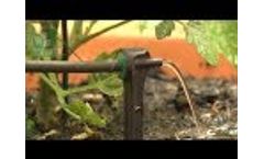 Asta Stake Dripper Guide - Drip Irrigation Video