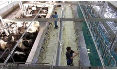 Sun North - Milking Parlour