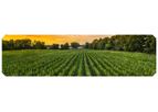Model SDI - Subsurface Drip Irrigation