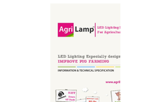 Pigs Lightning Brochure
